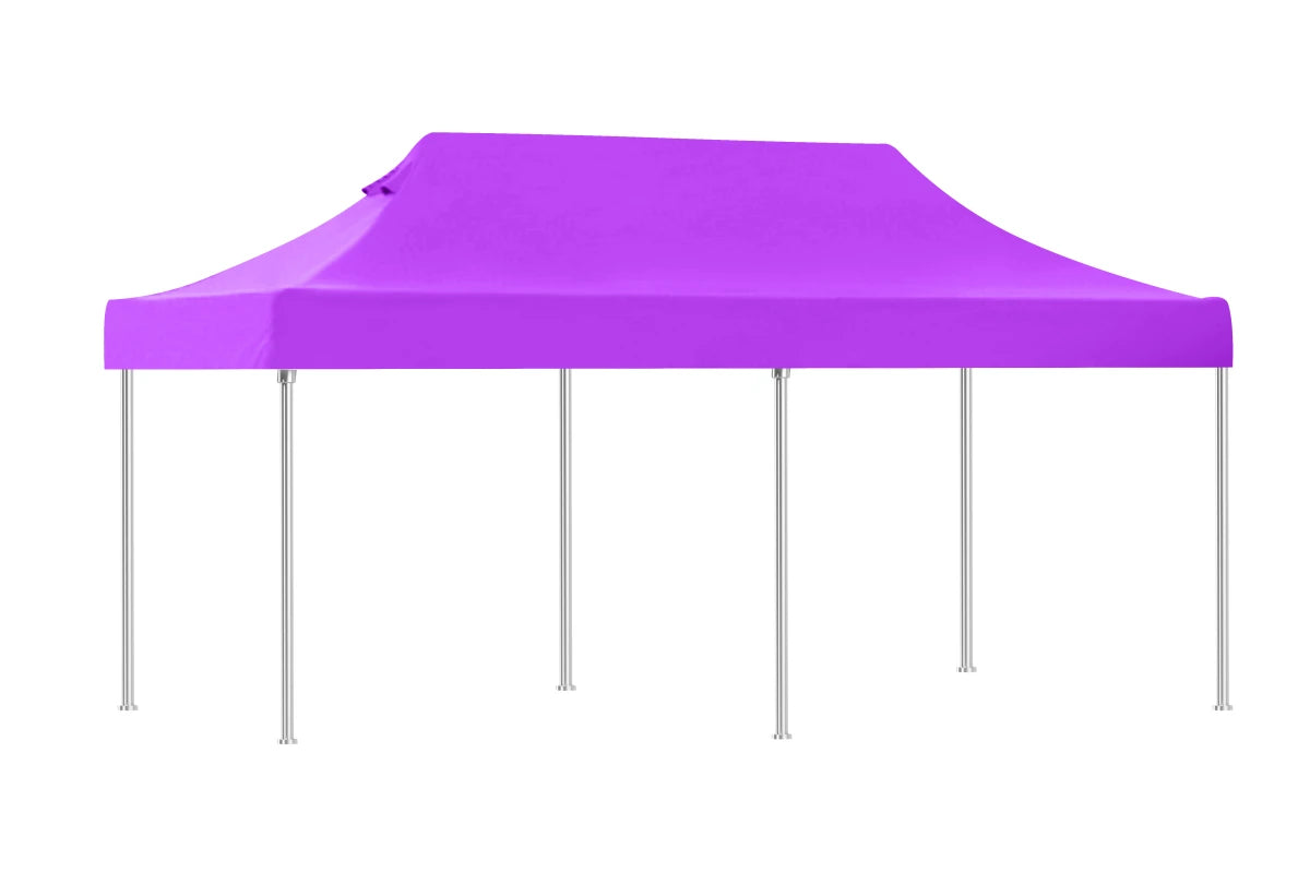 Viola